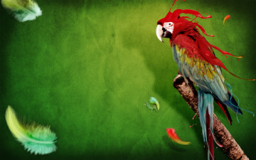 Картинка животные попугаи