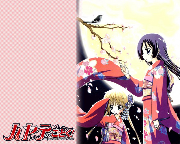 Обои картинки фото hayate, the, combat, butler, аниме, no, gotoku