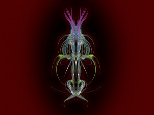 Картинка 3д графика fractal фракталы цвета фон узор