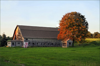 Картинка разное сооружения постройки дом дерево