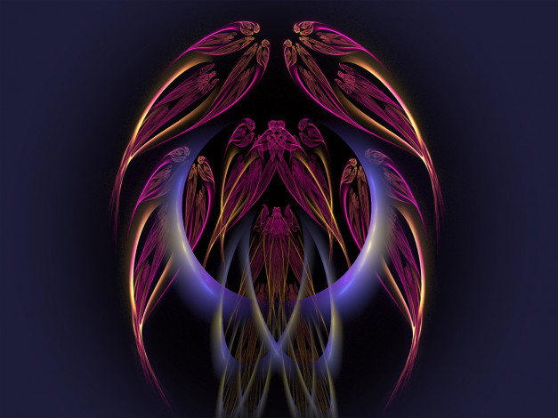 Обои картинки фото 3д, графика, fractal, фракталы, узор, цвета, фон