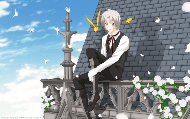 Обои картинки фото аниме, gray, man, allen, walker