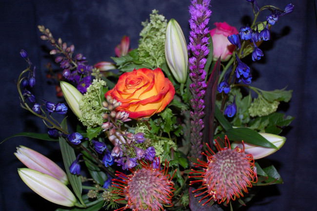Обои картинки фото цветы, букеты, композиции, лилия, дельфиниум, роза, протея