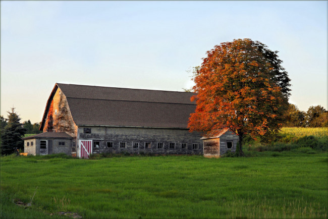 Обои картинки фото разное, сооружения, постройки, дом, дерево