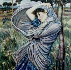 Картинка andy lloyd boreas рисованные девушка