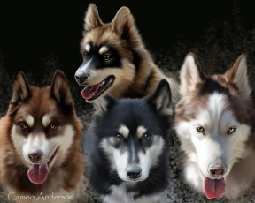 Картинка рисованные животные собаки