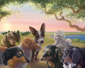 Картинка рисованные животные собаки