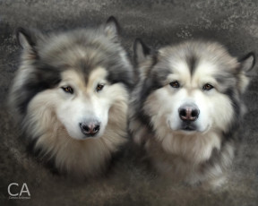 Картинка рисованные животные собаки