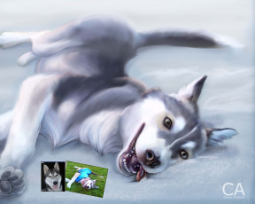 Картинка рисованные животные собаки собака