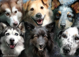 Картинка рисованные животные собаки