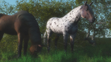 Картинка 3д графика animals животные лошади