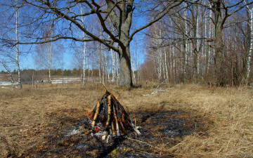 Картинка костёр природа лес весна