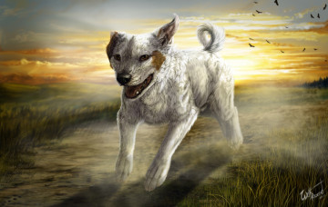 Картинка рисованные животные собаки собака