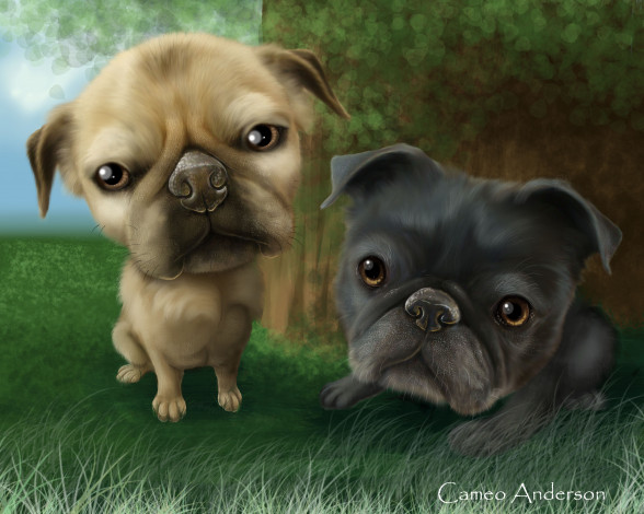 Обои картинки фото рисованные, животные, собаки