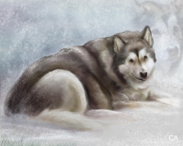 Обои картинки фото рисованные, животные, собаки, собака