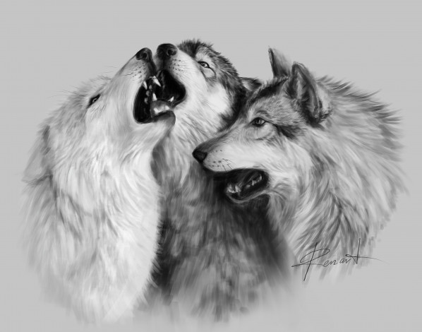 Обои картинки фото рисованные, животные, собаки