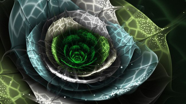 Обои картинки фото 3д, графика, flowers, цветы, лепестки