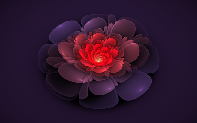 Обои картинки фото 3д, графика, flowers, цветы, лепестки
