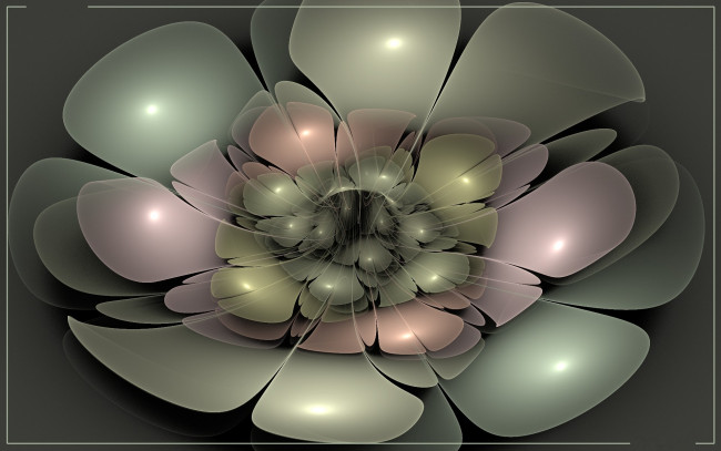 Обои картинки фото 3д, графика, flowers, цветы, лепестки