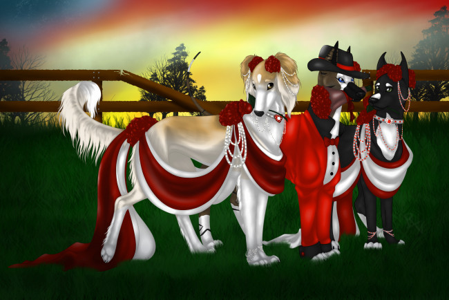 Обои картинки фото рисованные, животные, собаки, лето