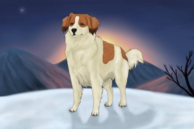 Обои картинки фото рисованные, животные, собаки, собака
