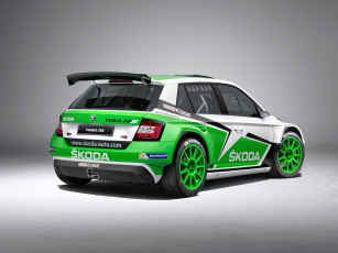 обоя автомобили, skoda, 2015г, nj, r5, fabia