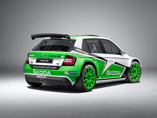 Обои картинки фото автомобили, skoda, 2015г, nj, r5, fabia