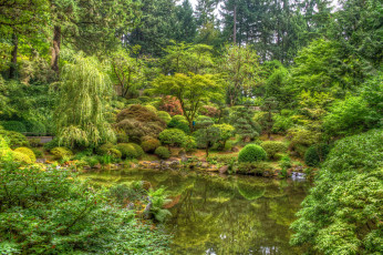 Картинка природа реки озера река лес