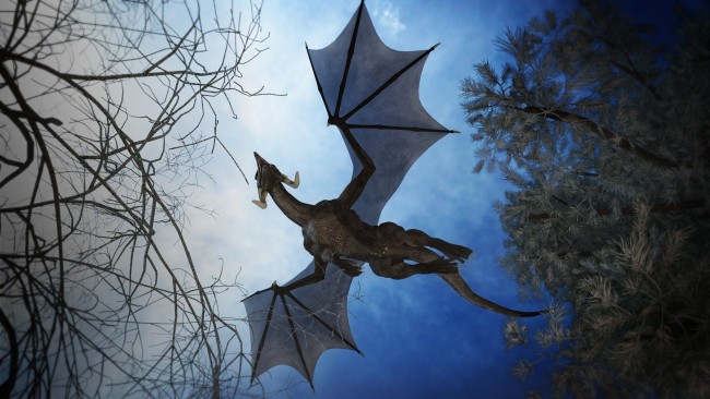 Обои картинки фото 3д графика, существа , creatures, дракон, фон, полет
