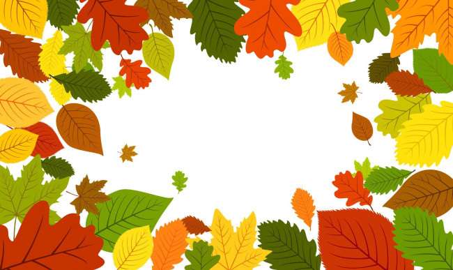 Обои картинки фото векторная графика, природа , nature, листья, осень