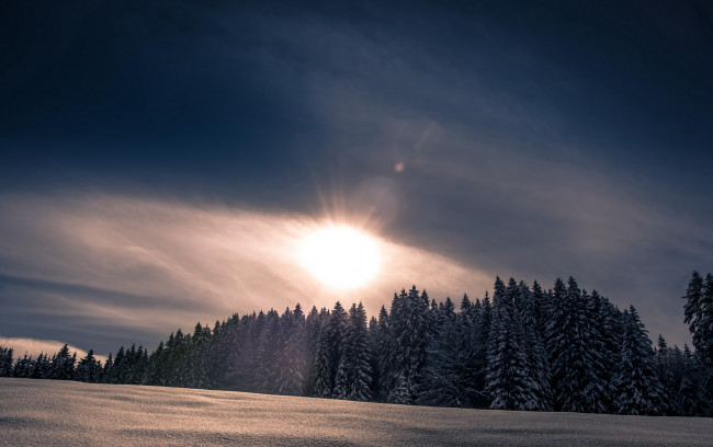 Обои картинки фото природа, зима, лес, снег