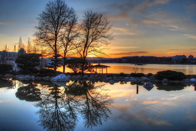 Обои картинки фото природа, реки, озера, река, лес