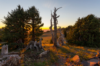 Картинка природа пейзажи простор