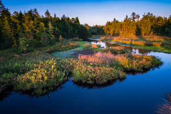 Картинка природа реки озера лес река