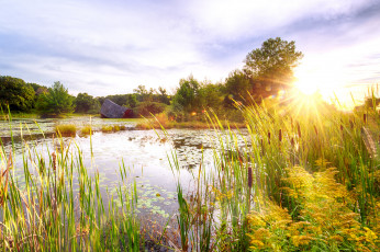 Картинка природа реки озера река лес