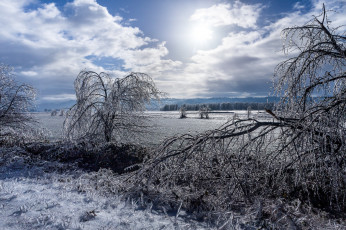 Картинка природа зима снег