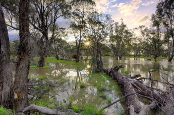 Картинка природа реки озера лес река