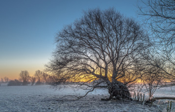 Картинка природа зима снег