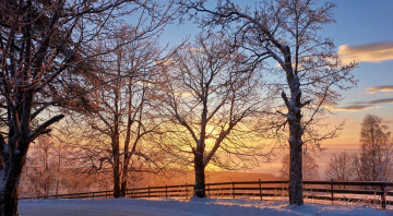 Картинка природа зима снег