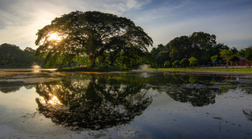 Картинка природа реки озера река лес