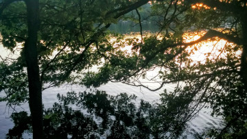 Картинка природа реки озера река лес