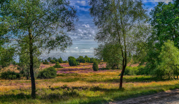 Картинка природа пейзажи простор