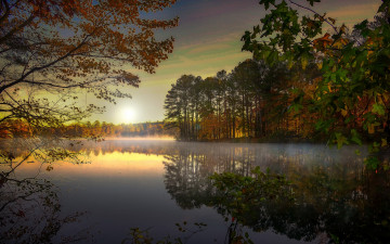 Картинка природа реки озера река лес