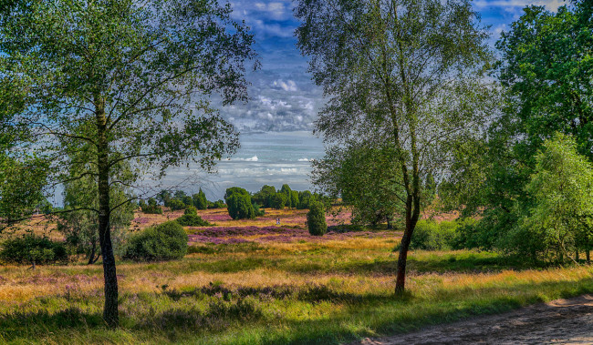 Обои картинки фото природа, пейзажи, простор