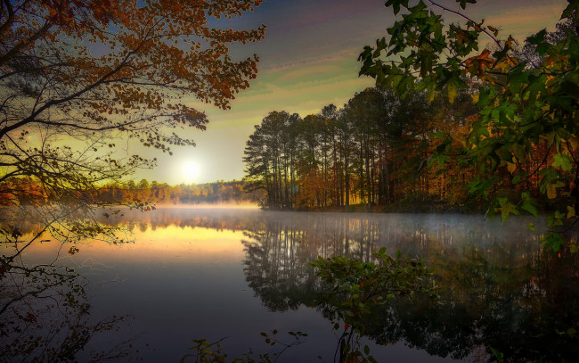 Обои картинки фото природа, реки, озера, река, лес