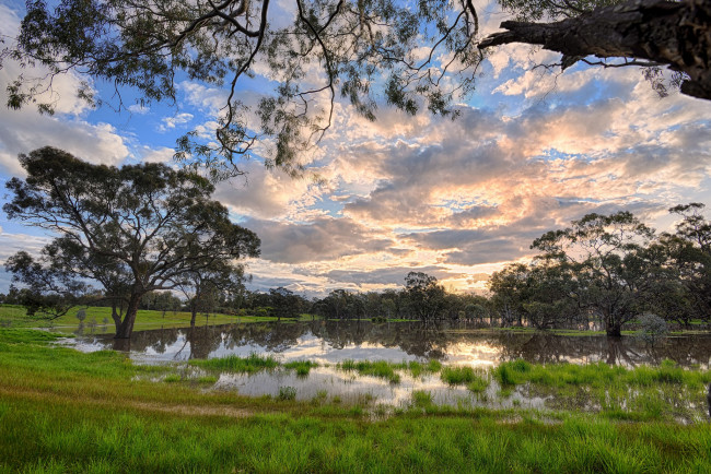 Обои картинки фото природа, реки, озера, лес, река