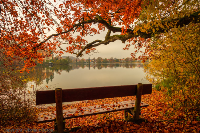 Обои картинки фото природа, реки, озера, река, лес