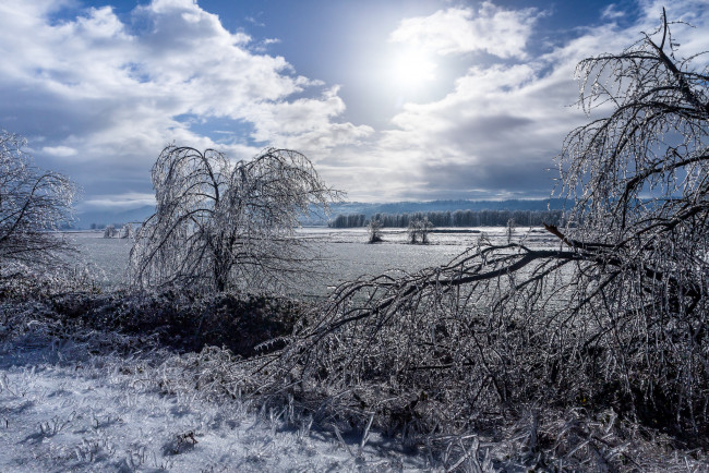 Обои картинки фото природа, зима, снег