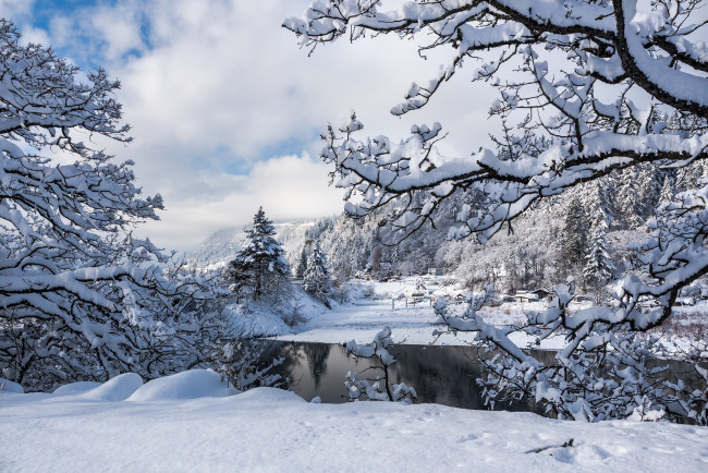 Обои картинки фото природа, зима, снег