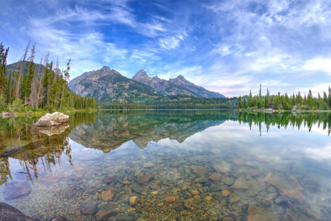 Обои картинки фото природа, реки, озера, лес, река